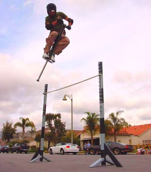 POGO STICKS Slēpošanas staiguļi