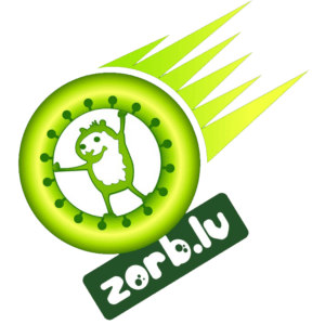 Logotype website